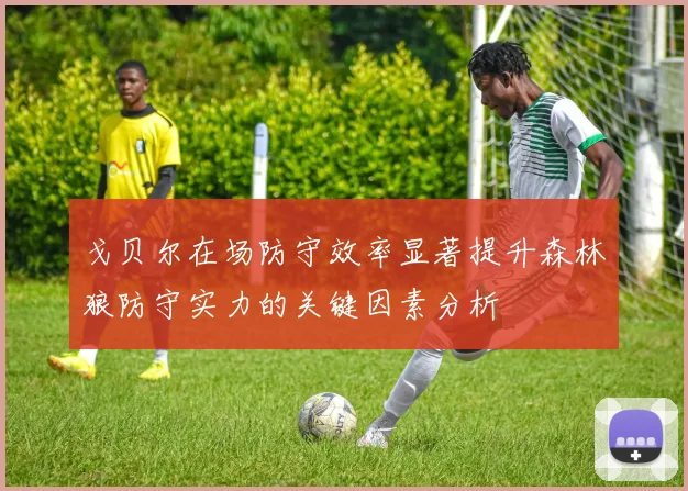 戈贝尔在场防守效率显著提升森林狼防守实力的关键因素分析